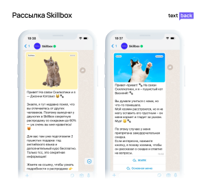 Пример креативной WhatsApp-рассылки от Skillbox с использованием изображений котиков для повышения вовлеченности