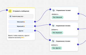 Сценарий опроса в WhatsApp с выбором гендера и автоматическим присвоением тегов для сегментации